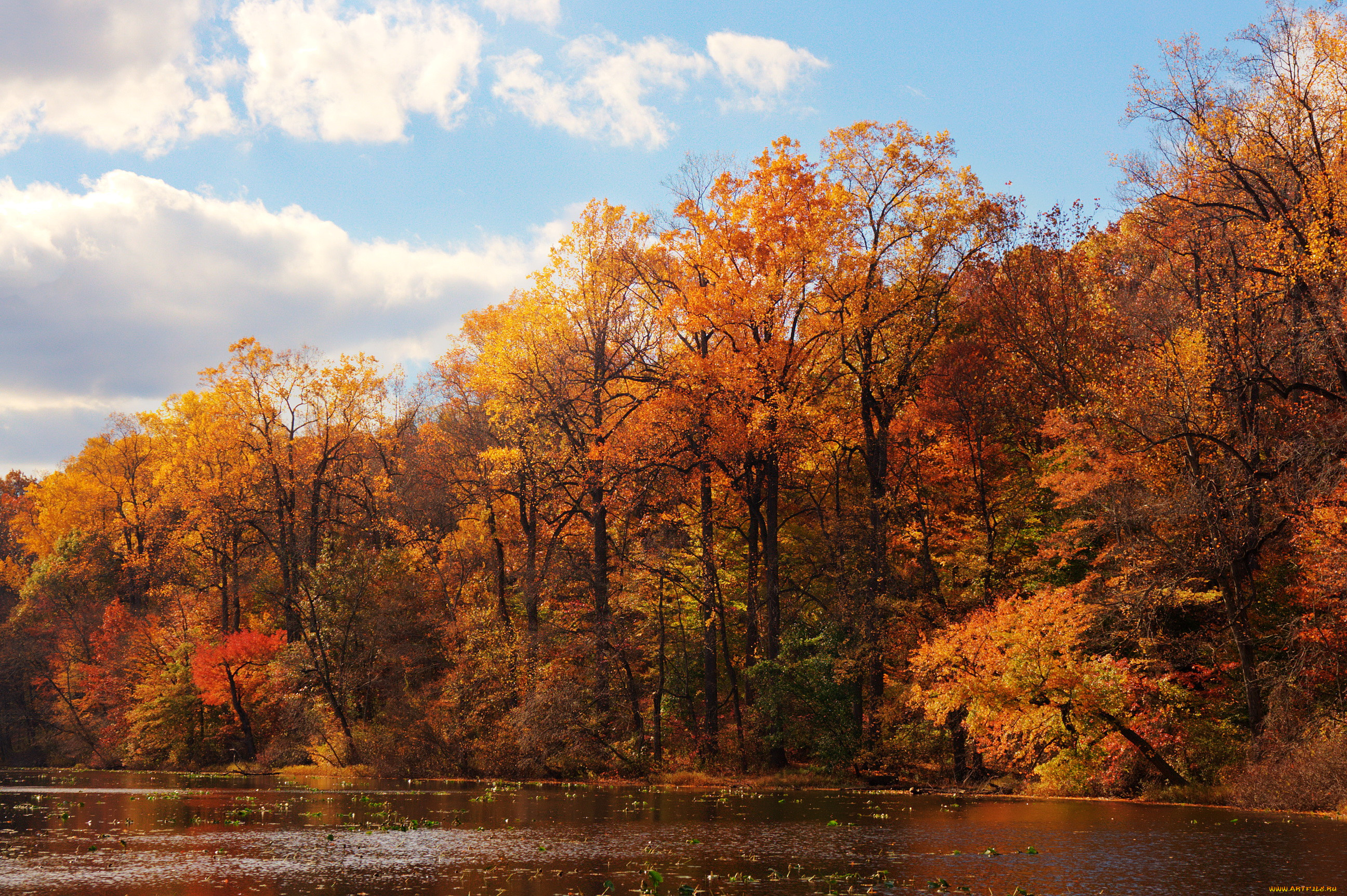 Картинка времена года осень. Времена года осень. Река в осеннем лесу. Фото времена года осень. Времена года фотографии природы осень.